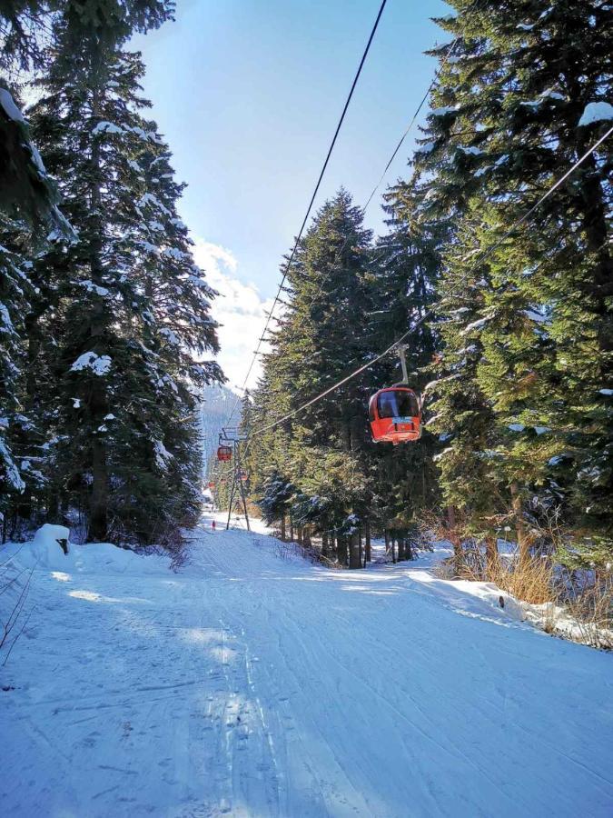Mountain Paradise In Aparthotel Borovets Gardens 外观 照片
