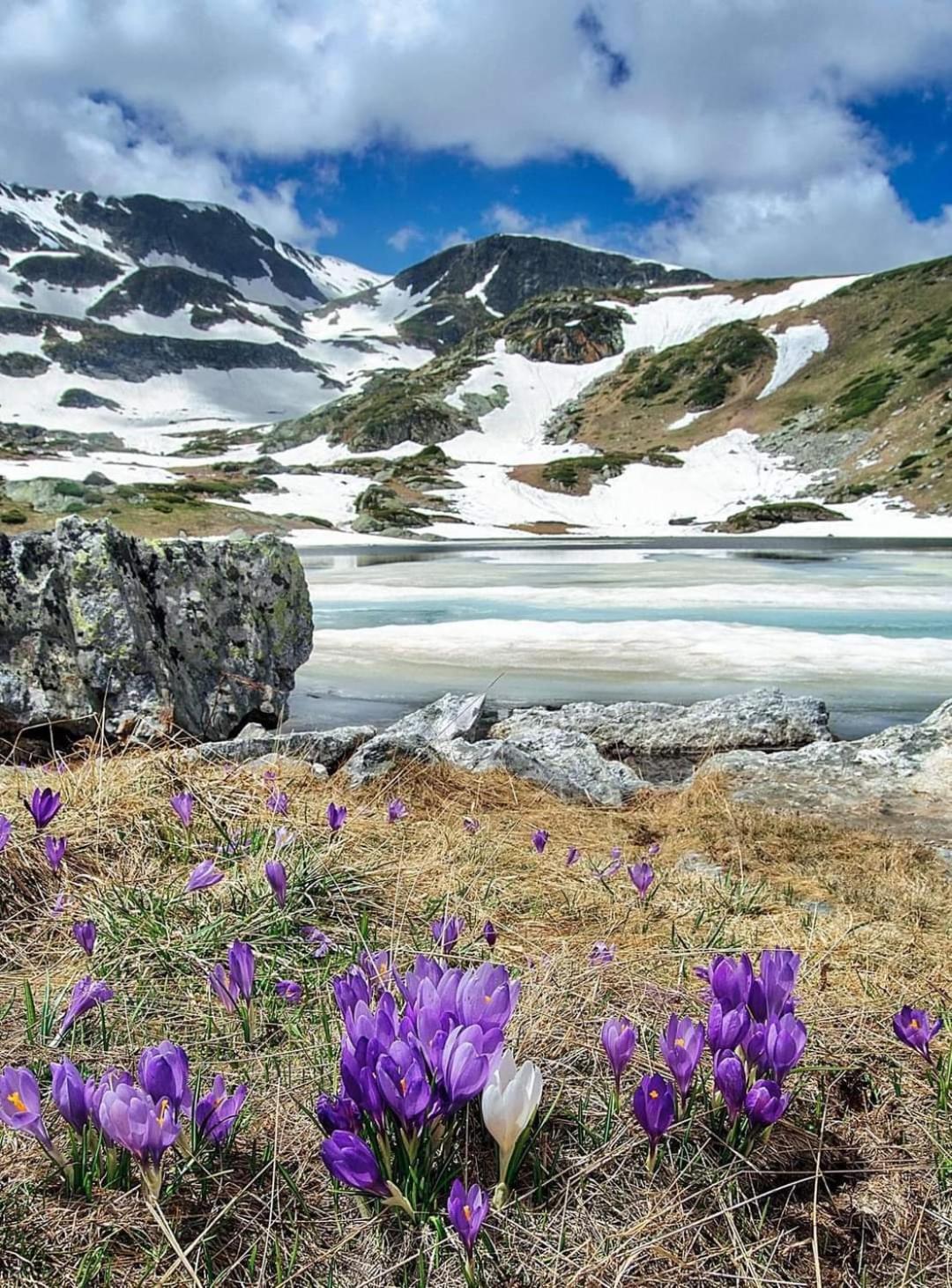 Mountain Paradise In Aparthotel Borovets Gardens 外观 照片
